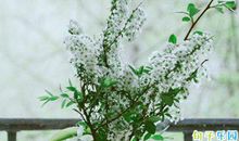 经典人生哲理精辟句子