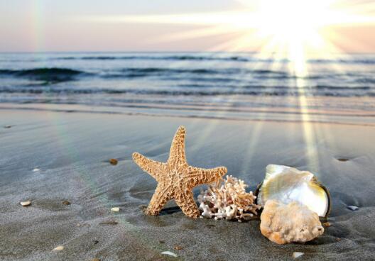 我要带给您一切烦恼和快乐