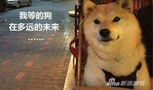 2020情人节说说虐单身狗必备 情人节的幽默句子 适合做签名