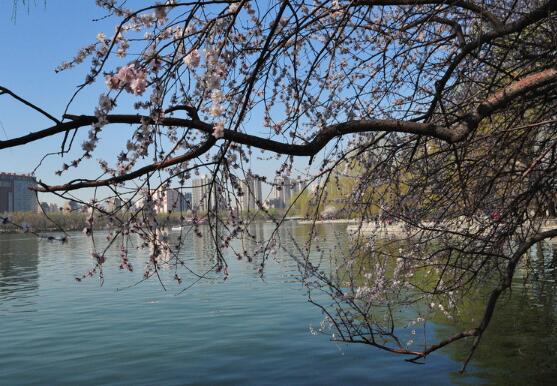 我的心里充满了忧愁