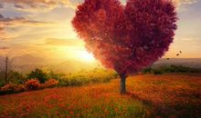 元旦跨年唯美句子