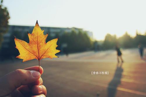 请欣赏由编辑组织的关于青春幸福的美丽句子