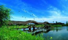 关于生态的名言