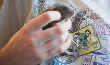 很皮很有趣的个性签名 很皮的QQ签名短句