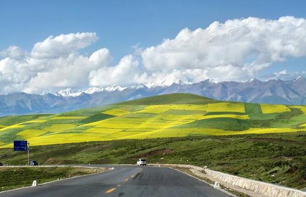 以下是描述小编编写的人物的好句子的摘录