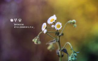 让我们挑选一群