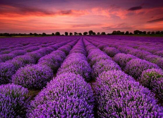 摘自除夕祝福的文字 1