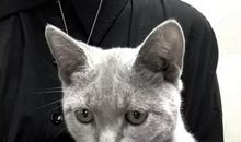 她累了逗她开心的句子