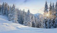 描写冬景的比喻句