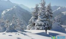 描写冬天寒冷的成语