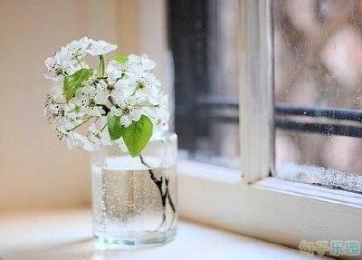 给我留下的回忆就像彩虹