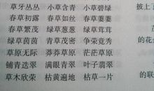 描写颜色的成语