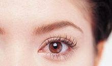 赞美眼睛的句子