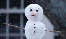 对亲情失望委屈的句子