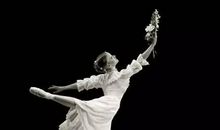 跳舞开心的句子