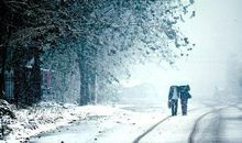 风雨同行经典句子