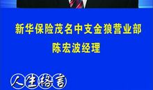 保险人生格言大全