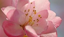 社区新型冠状病毒防疫标语 2020防疫情宣传语