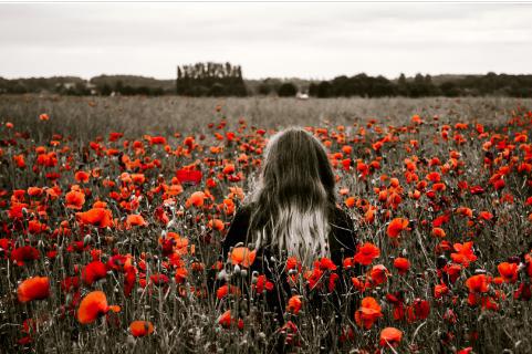 以下是编辑为所有对领导者感到悲伤和失望的人编写的一句话