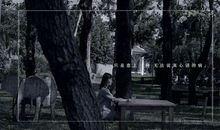 赞美妈妈的句子