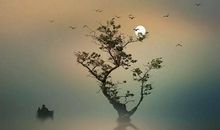 经典禅语：想要快乐必看