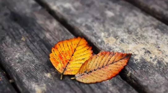 将耗尽一千名士兵