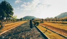 对老公的失望的句子