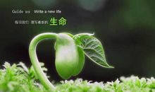 关于生命的英语名言