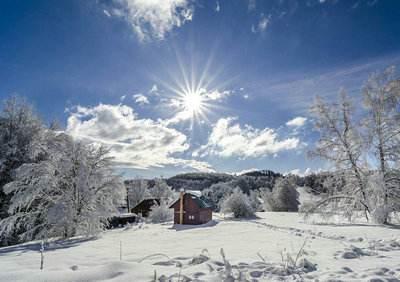 这是冬天来临的标志