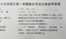 六年级语文优美句子