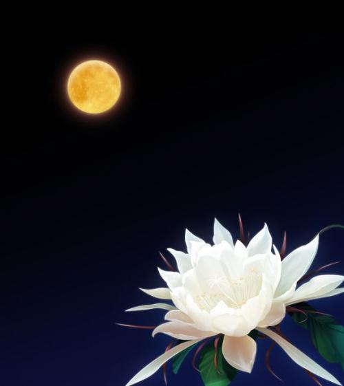 只有保持妄想和妄想