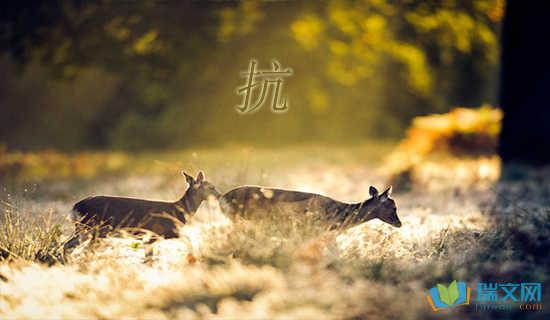 应对流行病的句子选择1 1