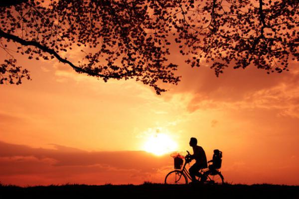 关于父亲的家庭判决 1