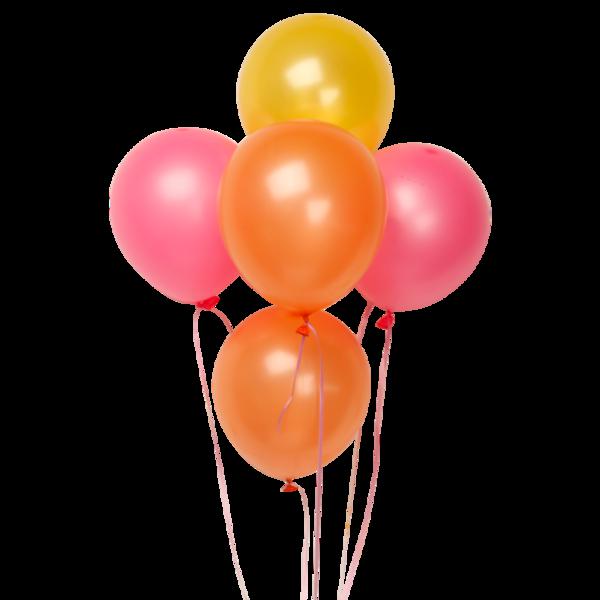 下次我将等待365天