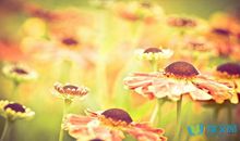 很有深度的人生感悟句子