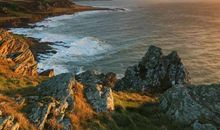 富有诗意的文艺情感句子素材