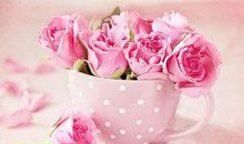 思念的去世的句子关于亲情