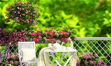 关于母爱或母亲节的标语 母亲节活动口号