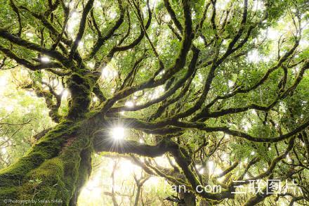 一双便宜的运动鞋