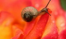 适合群发的微信问候语晚安 群里发晚安的祝福语