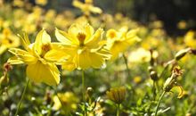 致自己的励志句子2020