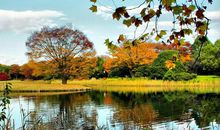 为爱努力的励志句子汇总2020