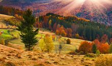 周末问候女生短信大全