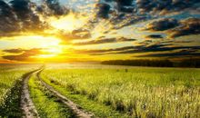 周末早上短信问候客户