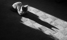 想起自己的经历心酸的句子