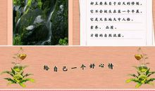 描写好心情的优美句子