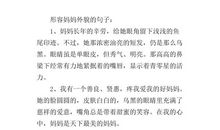 描写母亲外貌的句子