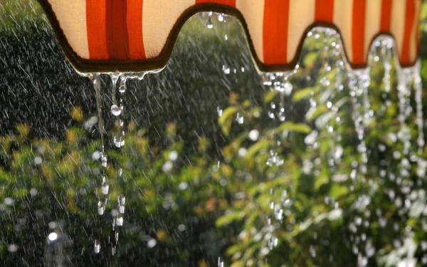 关于夏雨的漂亮句子 1