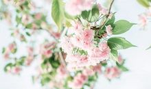 形容亲情越来越多的句子