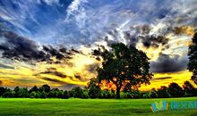 生活心寒的句子